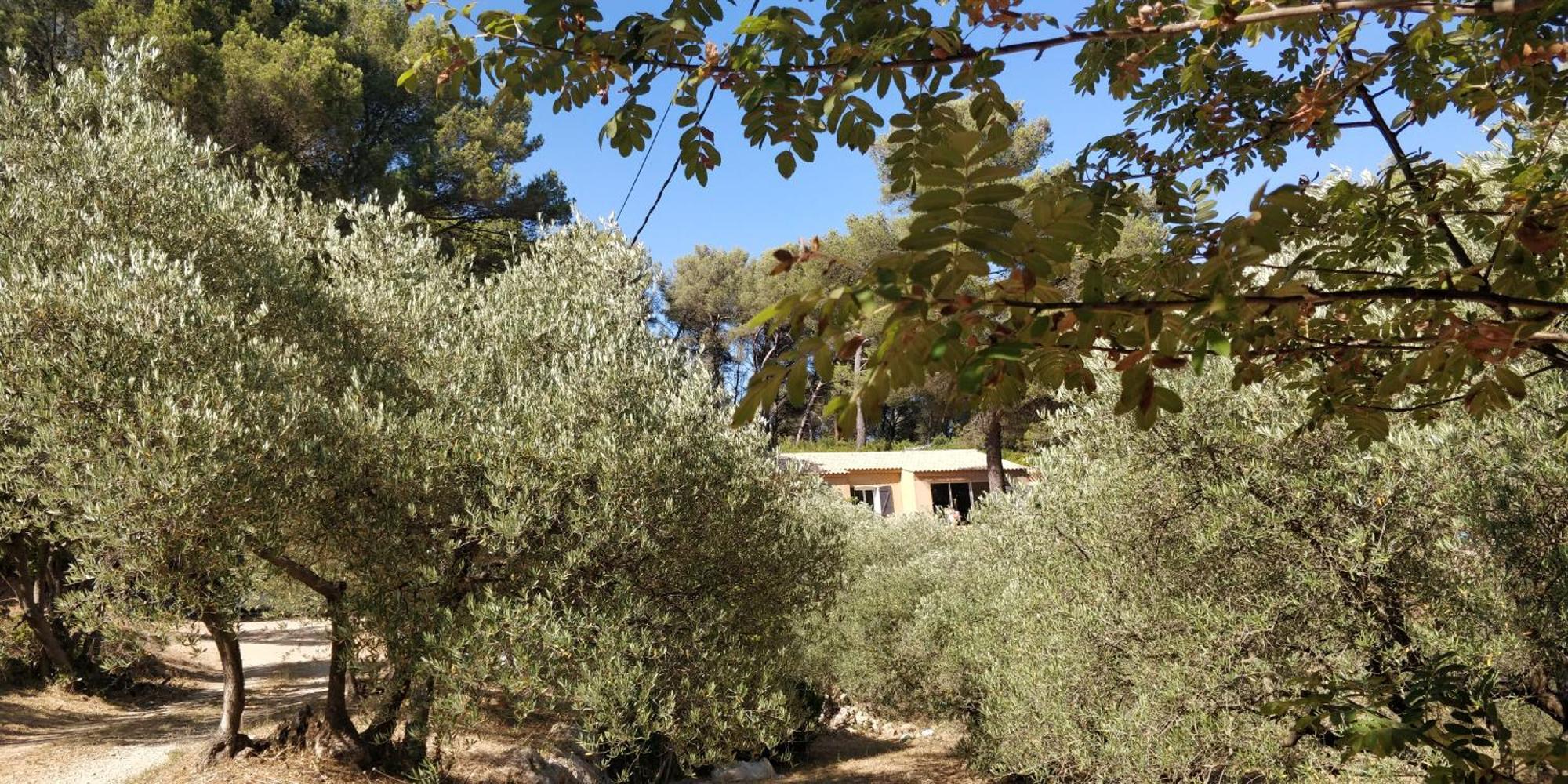 Villa Cigalons En Pleine Pinede Avec Piscine Chauffee De Mai A Septembre Auriol Buitenkant foto