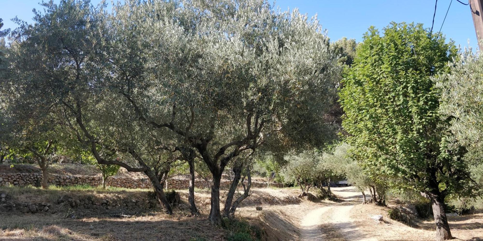 Villa Cigalons En Pleine Pinede Avec Piscine Chauffee De Mai A Septembre Auriol Buitenkant foto
