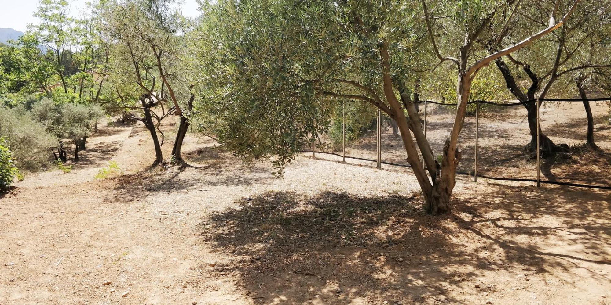 Villa Cigalons En Pleine Pinede Avec Piscine Chauffee De Mai A Septembre Auriol Buitenkant foto