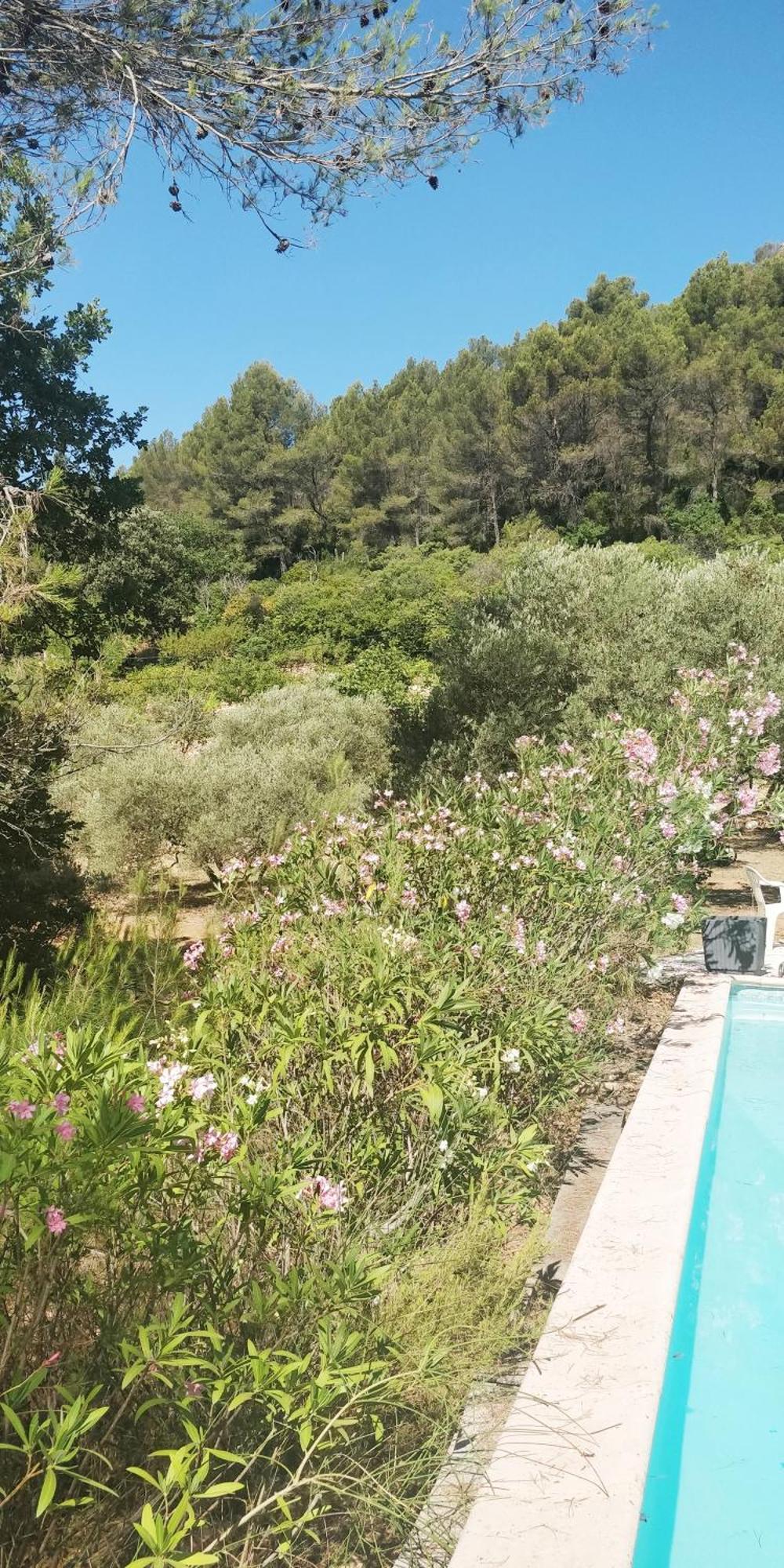 Villa Cigalons En Pleine Pinede Avec Piscine Chauffee De Mai A Septembre Auriol Buitenkant foto