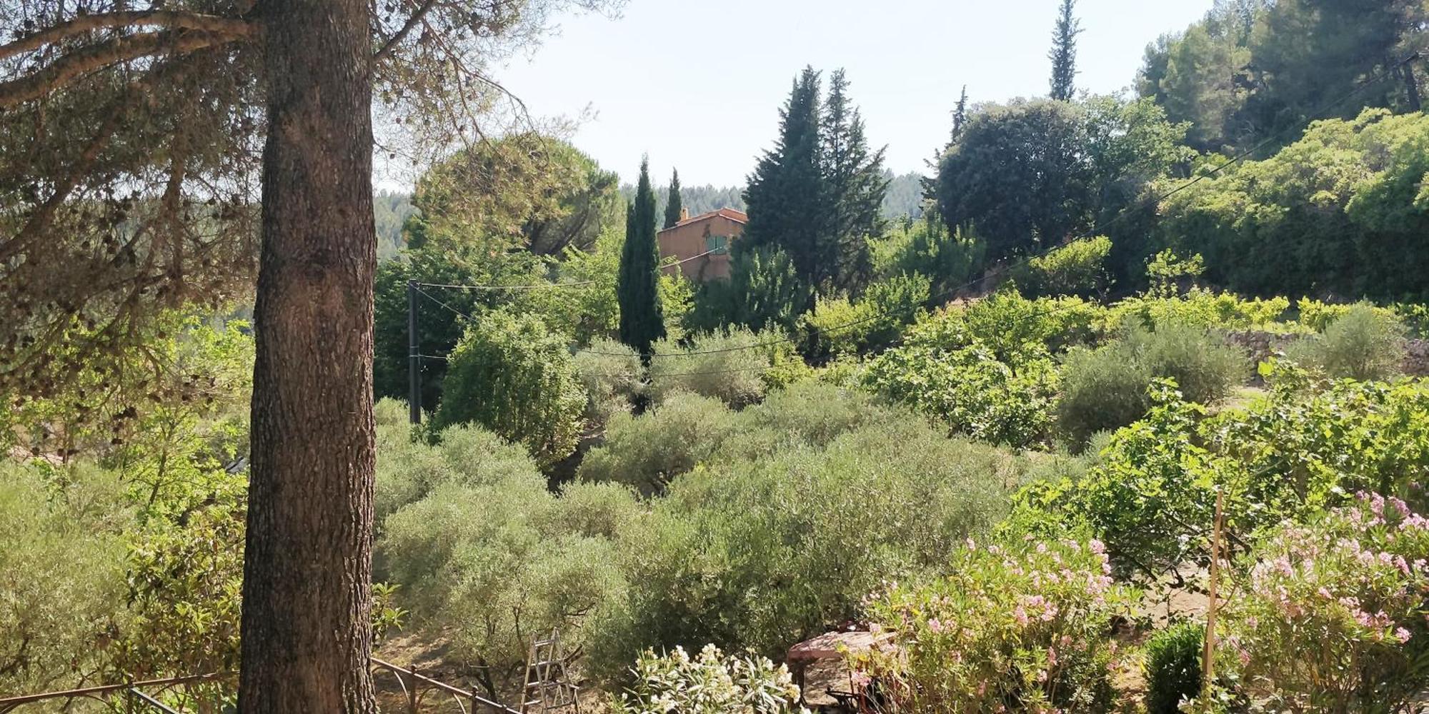 Villa Cigalons En Pleine Pinede Avec Piscine Chauffee De Mai A Septembre Auriol Buitenkant foto