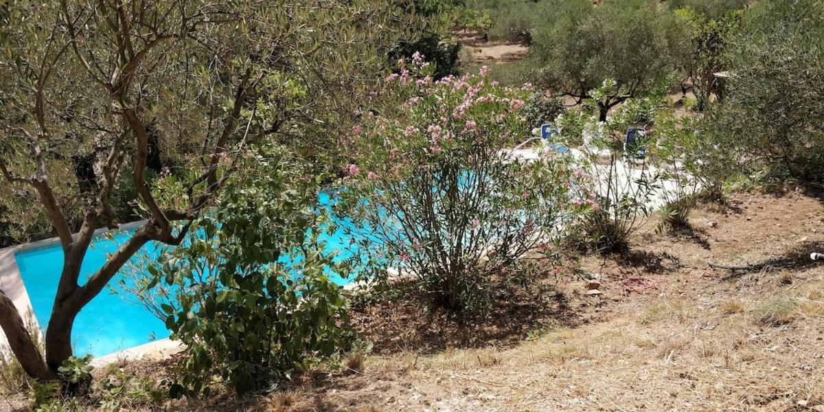 Villa Cigalons En Pleine Pinede Avec Piscine Chauffee De Mai A Septembre Auriol Buitenkant foto
