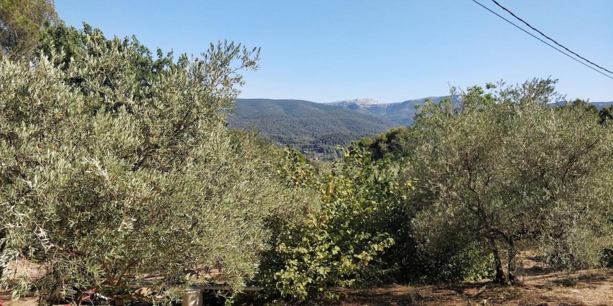 Villa Cigalons En Pleine Pinede Avec Piscine Chauffee De Mai A Septembre Auriol Buitenkant foto
