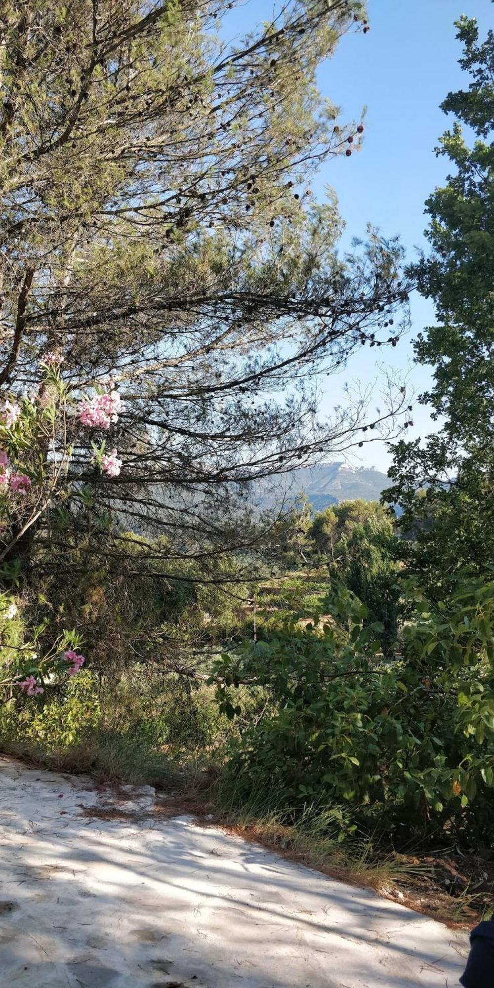 Villa Cigalons En Pleine Pinede Avec Piscine Chauffee De Mai A Septembre Auriol Buitenkant foto