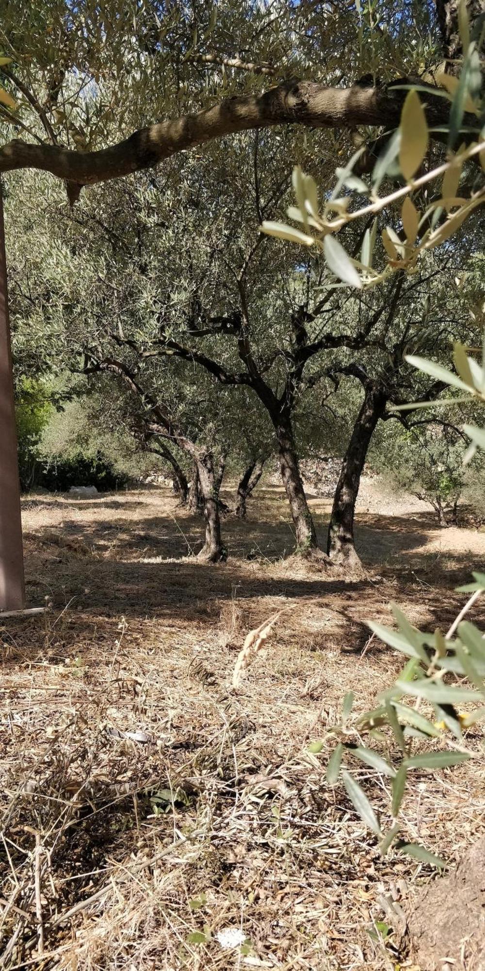 Villa Cigalons En Pleine Pinede Avec Piscine Chauffee De Mai A Septembre Auriol Buitenkant foto